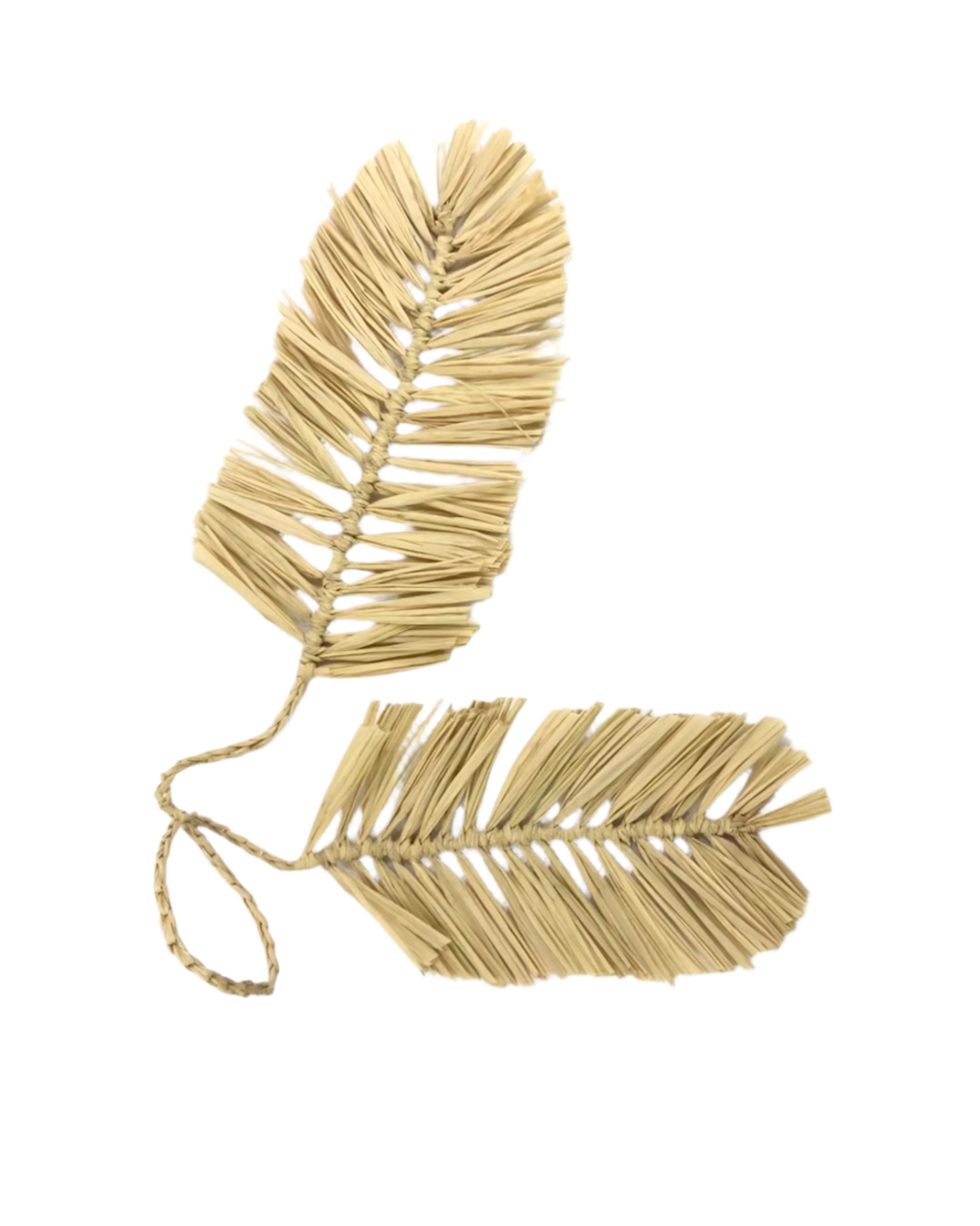 Feather Embellishment Brushed Fringe Raffia Macrame Charm - Shebobo