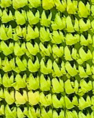 Kate 3" Brim Crochet Bucket Straw Hats Sample color Izarra lime/green handmade crochet natural raffia palm fiber - Shebobo